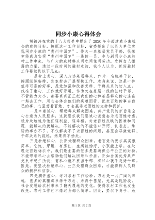 同步小康心得体会