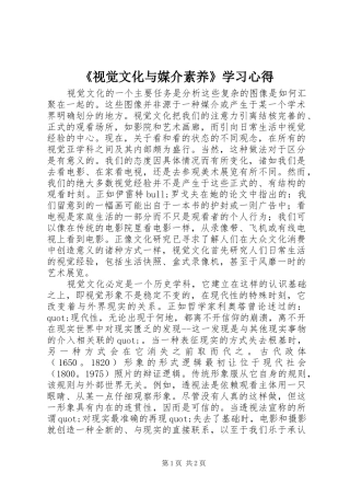 《视觉文化与媒介素养》学习心得