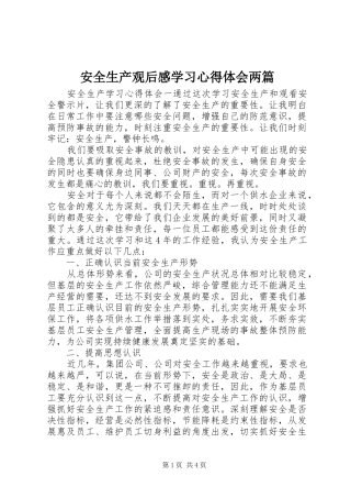 安全生产观后感学习心得体会两篇