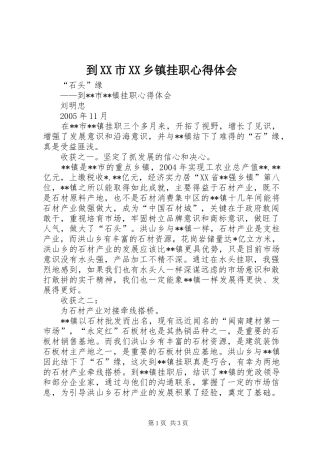 到XX市XX乡镇挂职心得体会