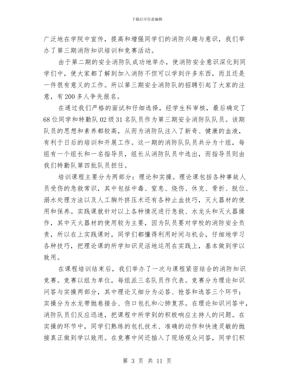 安全消防队工作报告与安全演讲稿：治安综合治理_第3页
