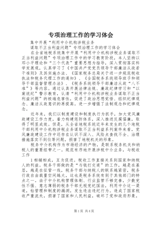 专项治理工作的学习体会