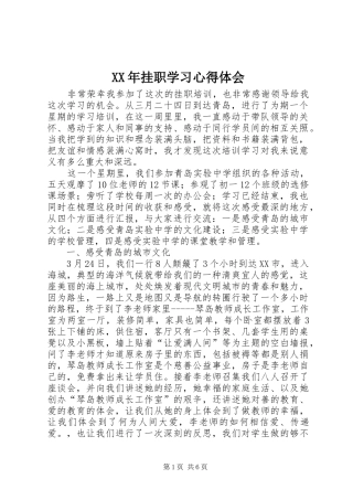 XX年挂职学习心得体会