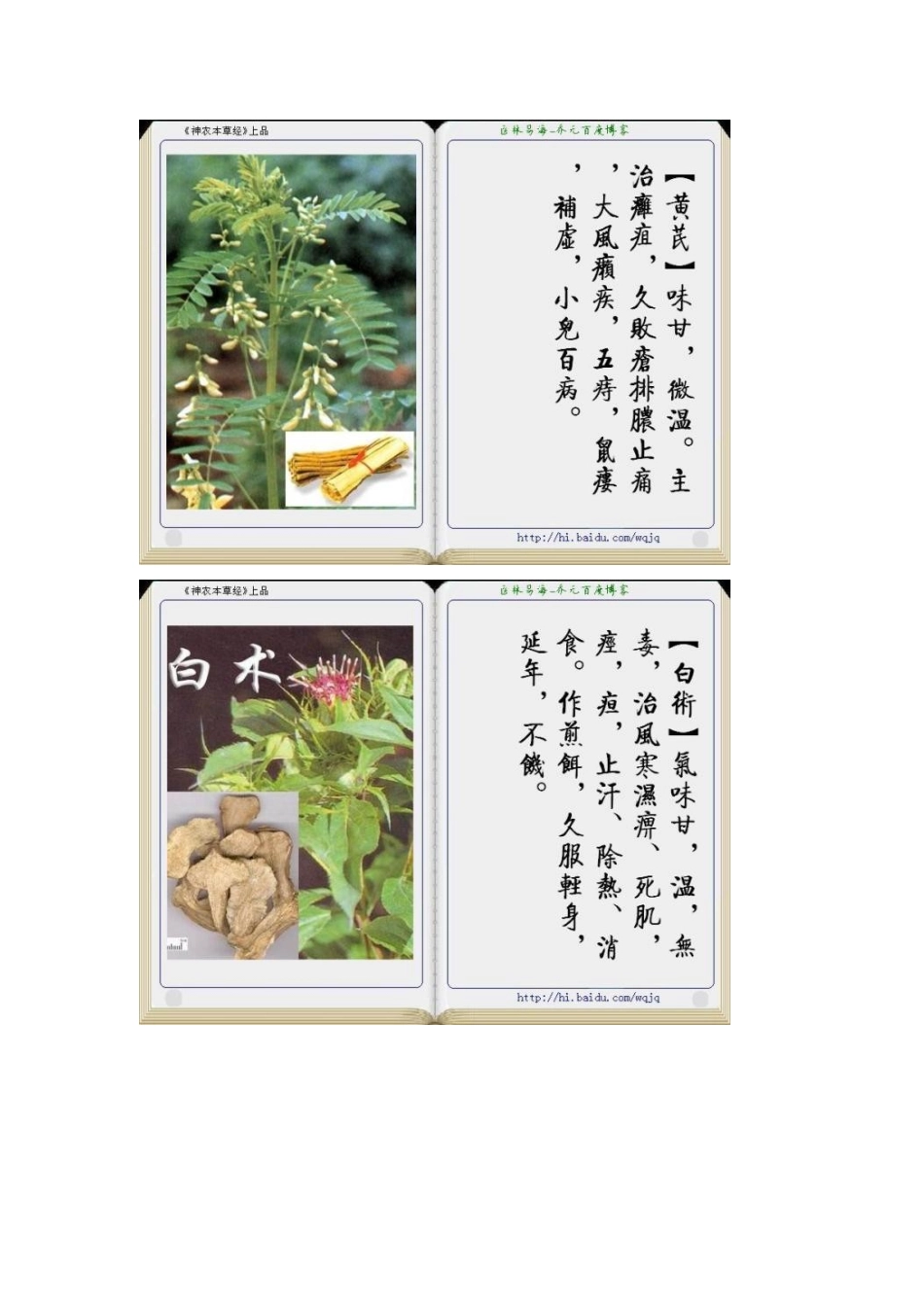 神农本草经中草药之上品_第2页