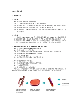 病毒包装相关资料doc-siRNA化学合成