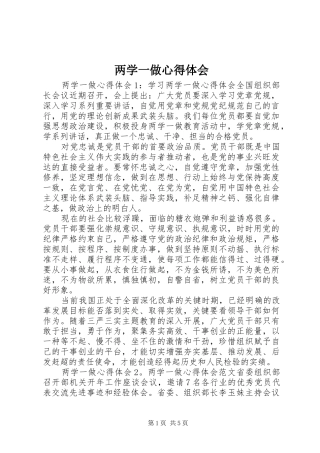 两学一做心得体会 (53)