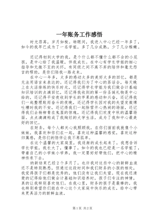 一年账务工作感悟