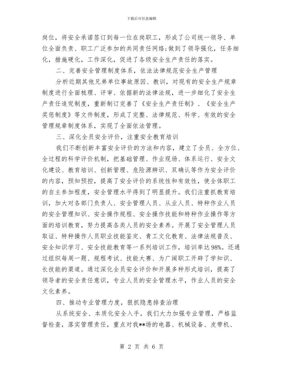 安全生产上半年工作总结与安全生产专项整治大排查大治理工作总结汇编_第2页
