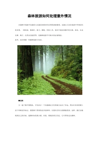 森林旅游如何处理意外情况