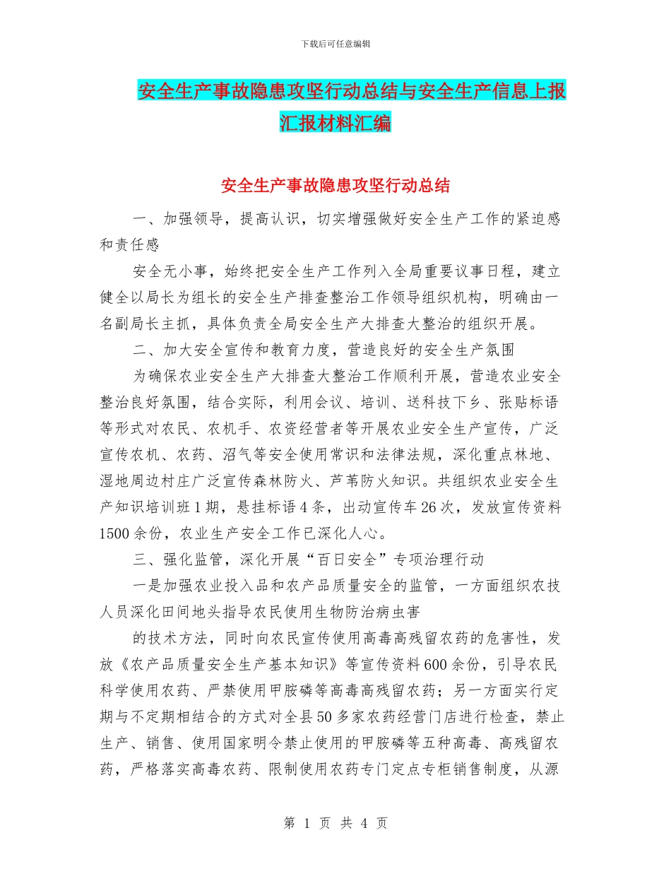 安全生产事故隐患攻坚行动总结与安全生产信息上报汇报材料汇编_第1页