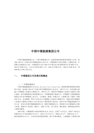 某能源集团公司介绍