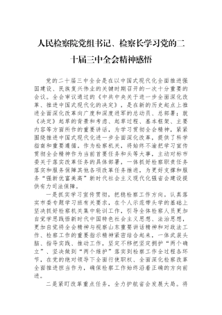 人民检察院党组书记、检察长学习党的二十届三中全会精神感悟