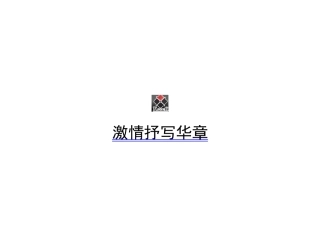 兴光燃气集团策划案XXXX年