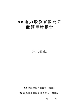 某电力公司能源审计报告