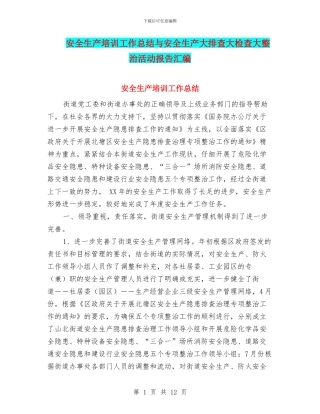 安全生产培训工作总结与安全生产大排查大检查大整治活动报告汇编