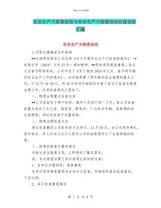 安全生产大检查总结与安全生产大检查活动自查总结汇编