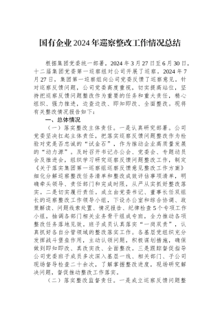 国有企业2024年巡察整改工作情况总结