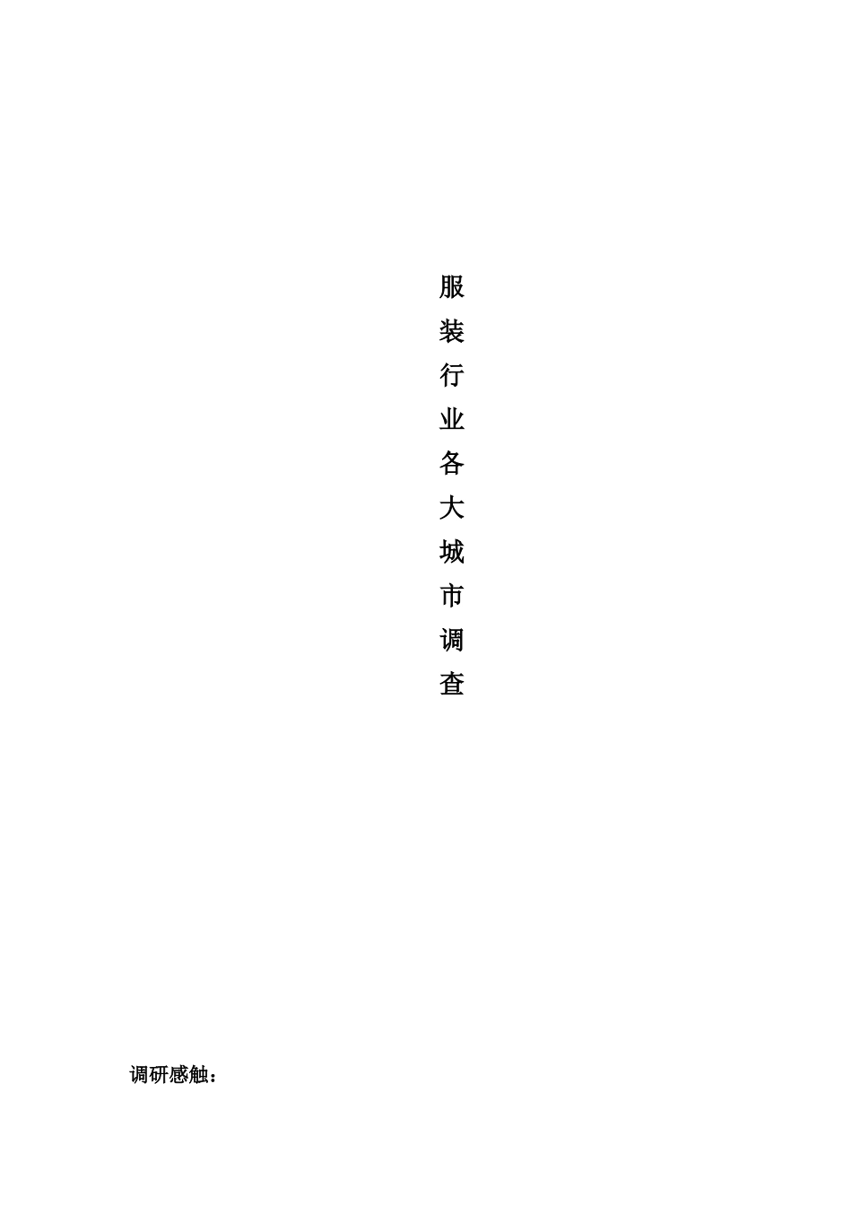 服装行业各大城市调查（DOC 13)_第1页