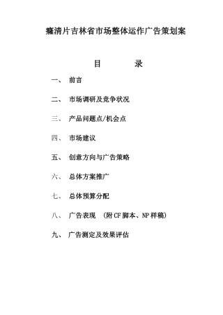 药品市场整体运作广告策划方案