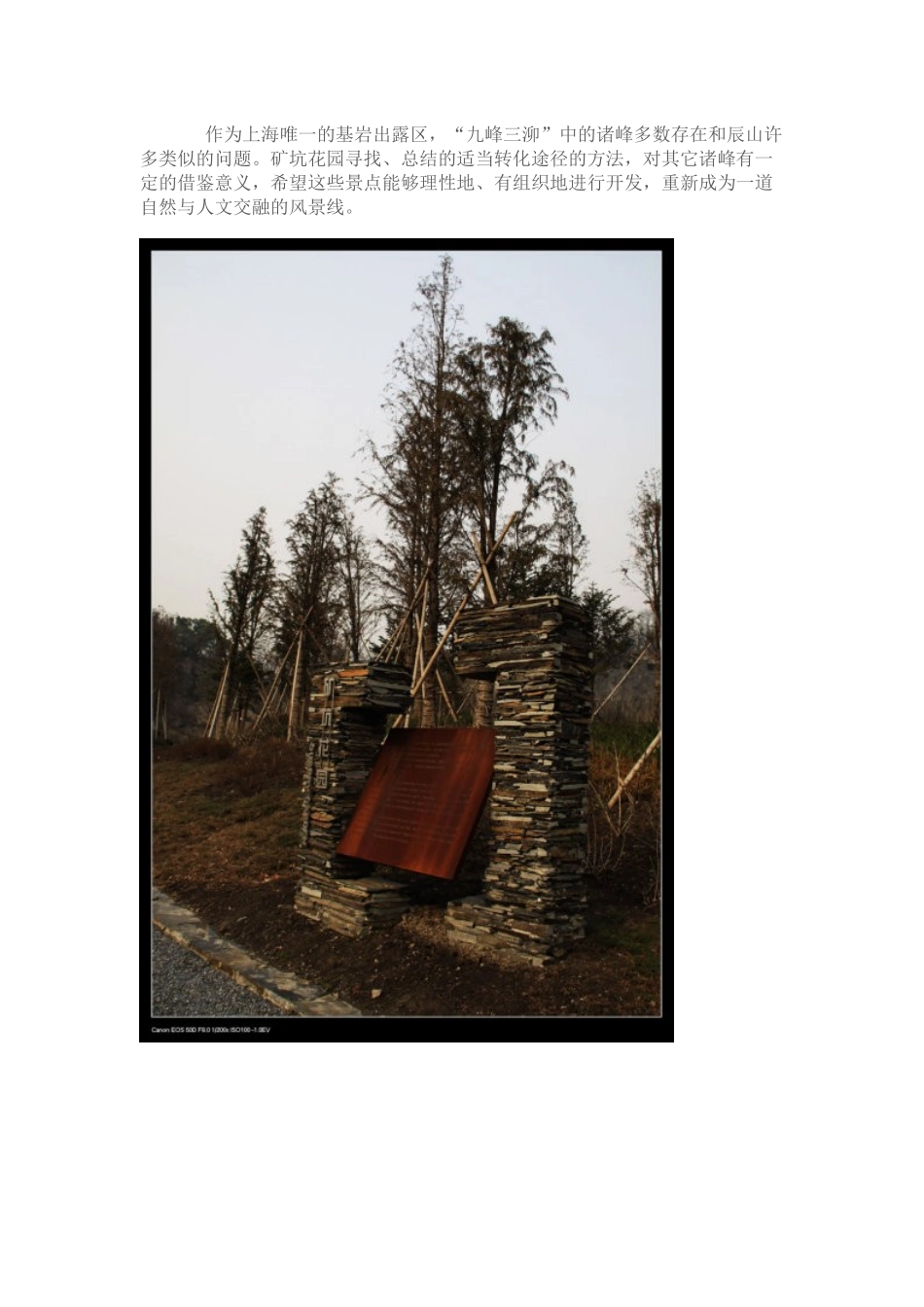 (看上海)__辰山植物园之矿坑花园_第2页