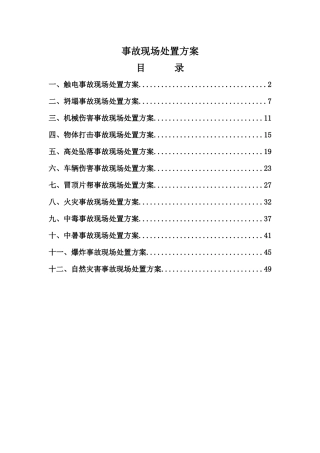 某矿业公司事故现场处置方案