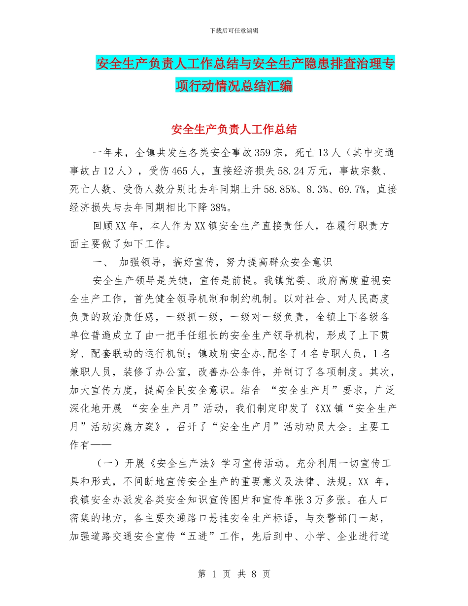 安全生产负责人工作总结与安全生产隐患排查治理专项行动情况总结汇编_第1页