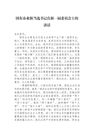 国有企业新当选书记在新一届委员会上的讲话