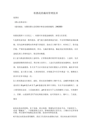 杜鹃花的栽培知识