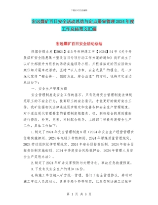 宏远煤矿百日安全活动总结与定点屠宰管理2024年度工作总结范文汇编
