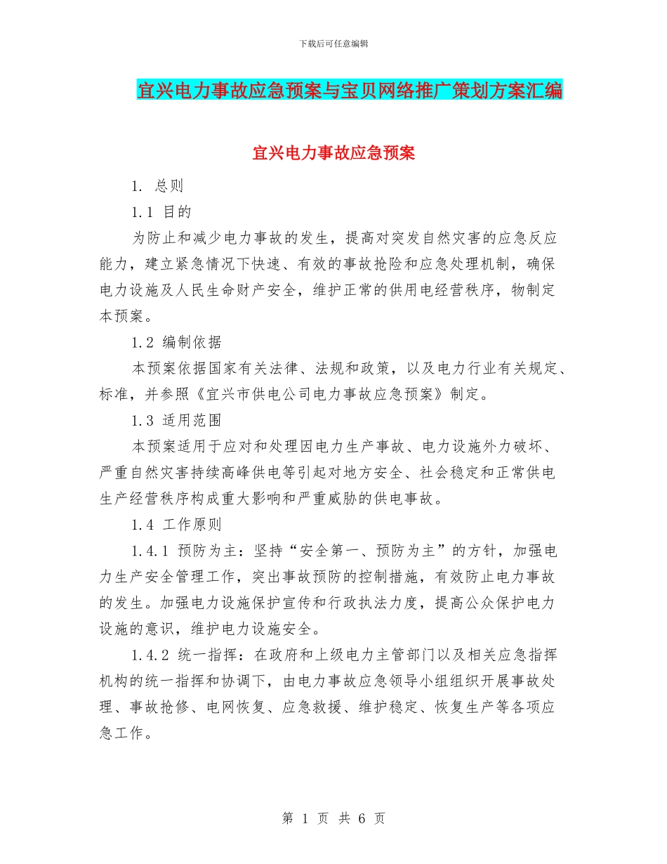 宜兴电力事故应急预案与宝贝网络推广策划方案汇编_第1页