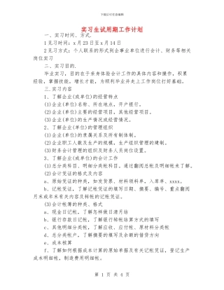 实习生试用期工作计划