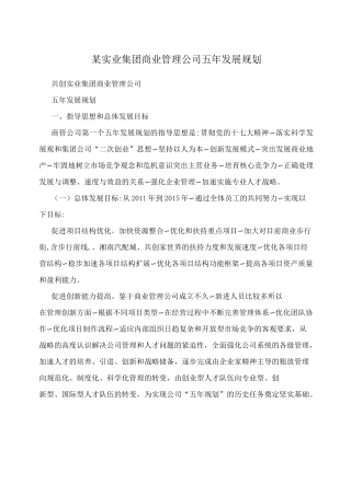 某实业集团商业管理公司五年发展规划