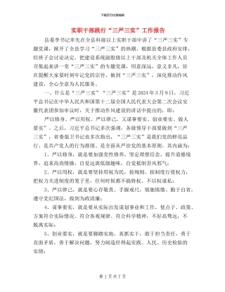 实职干部践行“三严三实”工作报告