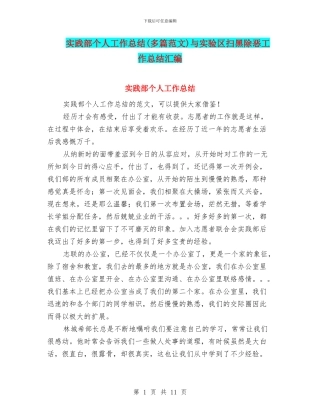 实践部个人工作总结与实验区扫黑除恶工作总结汇编