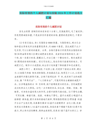 实际有效的个人减肥计划与实验2024年工作计划选文汇编