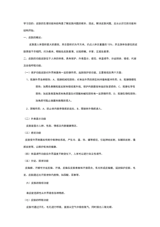 皮肤基础知识
