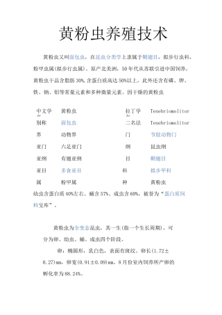 黄粉虫养殖技术