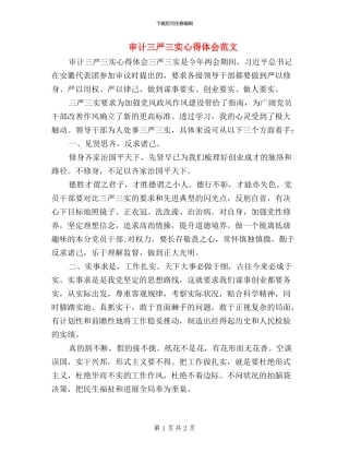 审计三严三实心得体会范文