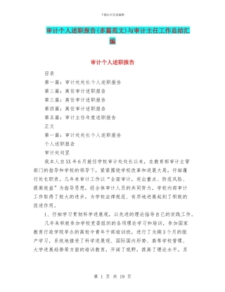 审计个人述职报告与审计主任工作总结汇编