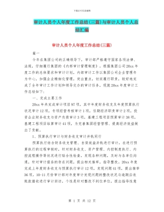 审计人员个人年度工作总结与审计人员个人总结汇编