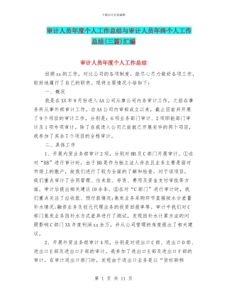 审计人员年度个人工作总结与审计人员年终个人工作总结汇编