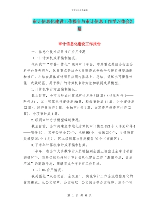审计信息化建设工作报告与审计信息工作学习体会汇编