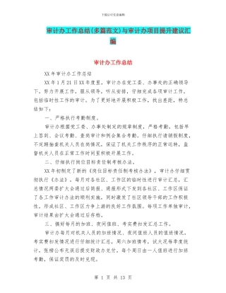 审计办工作总结与审计办项目提升建议汇编