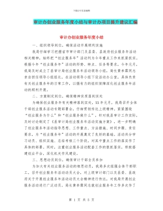 审计办创业服务年度小结与审计办项目提升建议汇编