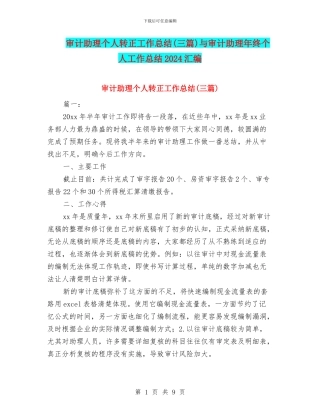 审计助理个人转正工作总结与审计助理年终个人工作总结2024汇编