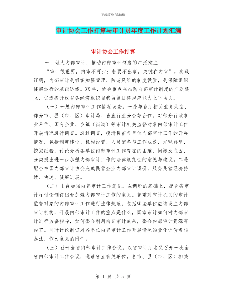 审计协会工作打算与审计员年度工作计划汇编_第1页