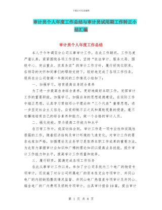 审计员个人年度工作总结与审计员试用期工作转正小结汇编