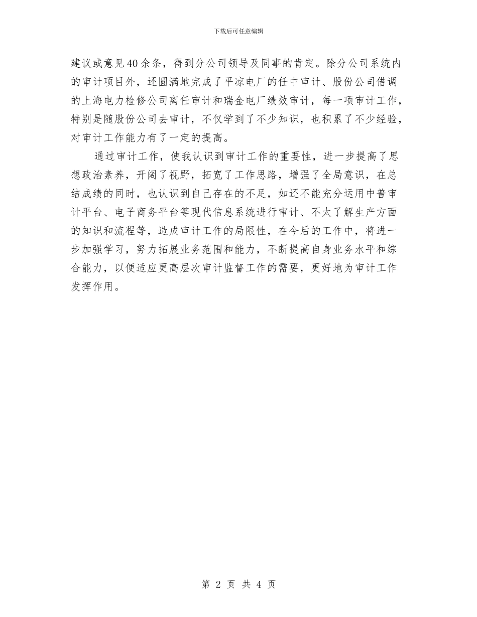 审计员个人年度工作总结与审计员试用期转正工作小结范文汇编_第2页