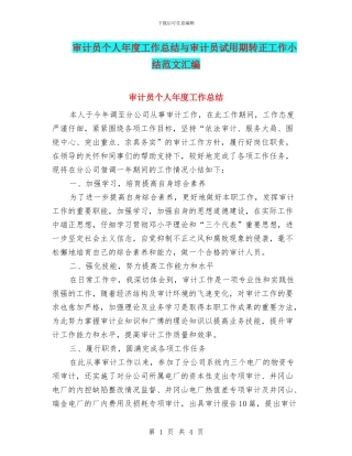 审计员个人年度工作总结与审计员试用期转正工作小结范文汇编