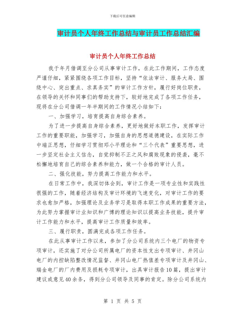 审计员个人年终工作总结与审计员工作总结汇编_第1页